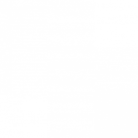 BEREITS VERMIETET