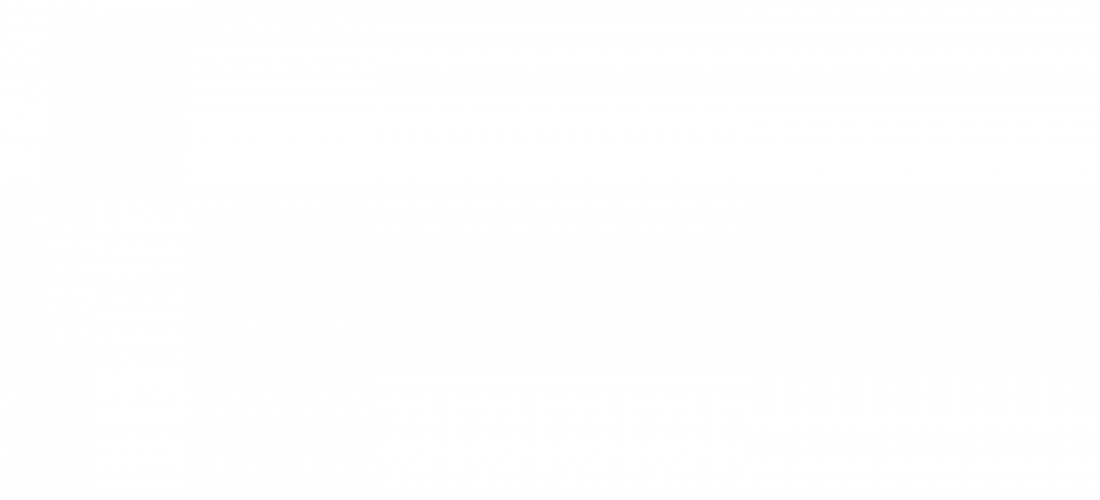 BEREITS VERMIETET