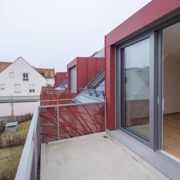 photo-2026-01-23-18-55-17